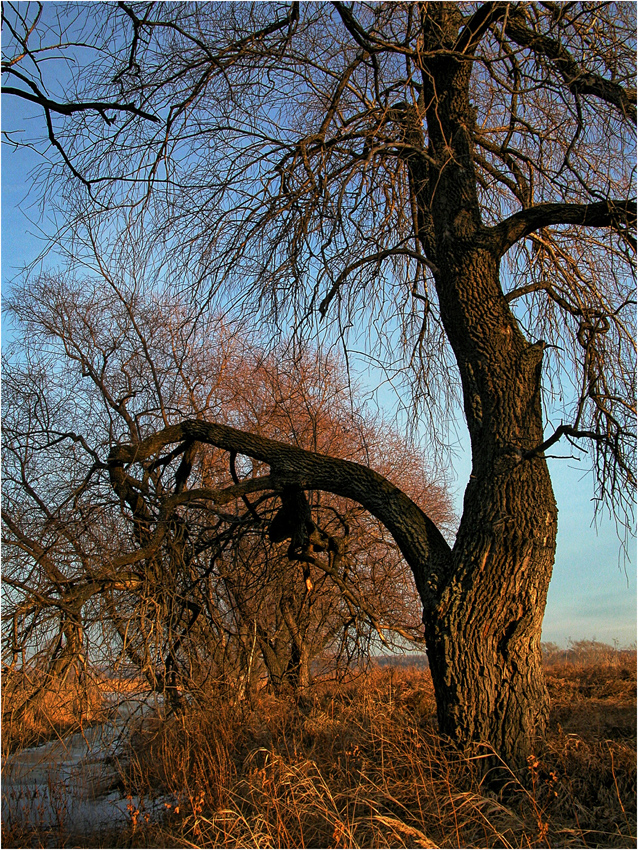 photo "***" tags: landscape, autumn