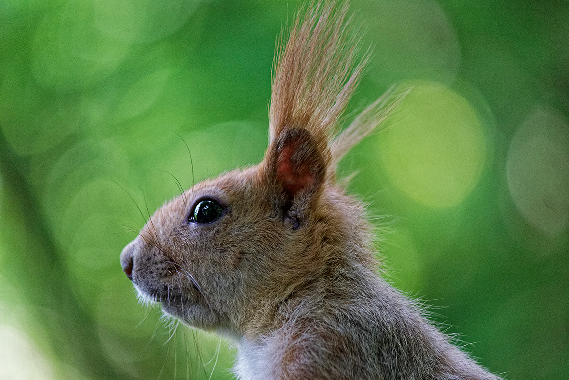 фото "***" метки: природа, путешествия, 