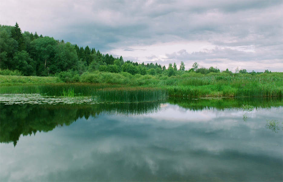 photo "***" tags: nature, clouds, forest, water