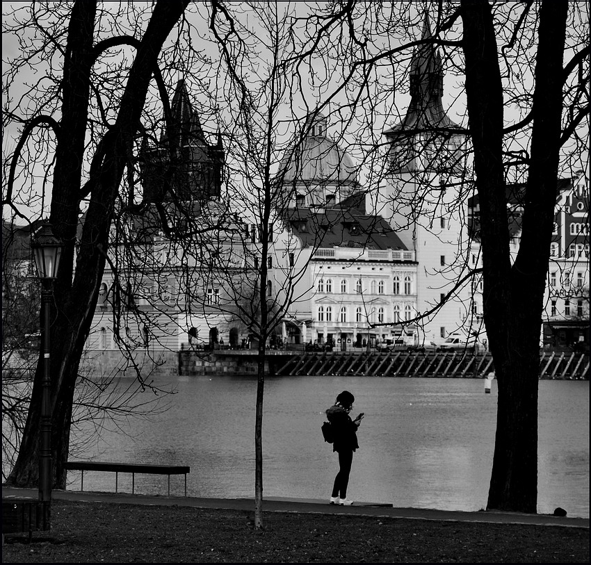 photo "Башни и деревья" tags: black&white, Prag, Prague, Praha