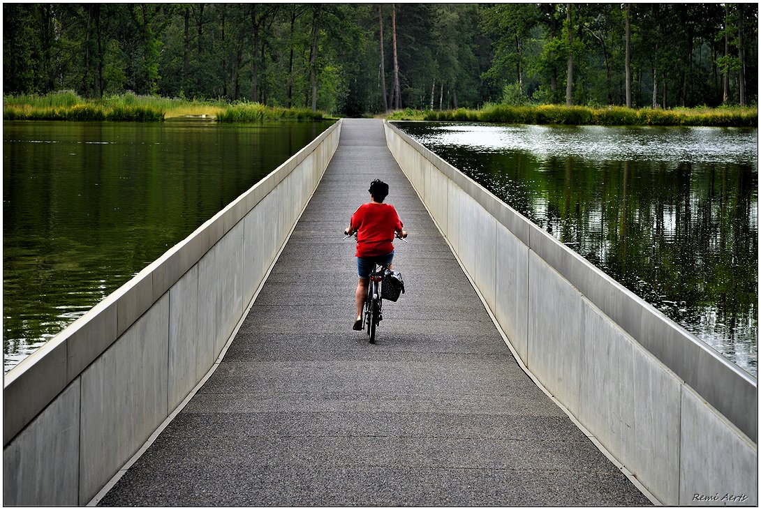 photo "Cycling through the water" tags: landscape, nature, 