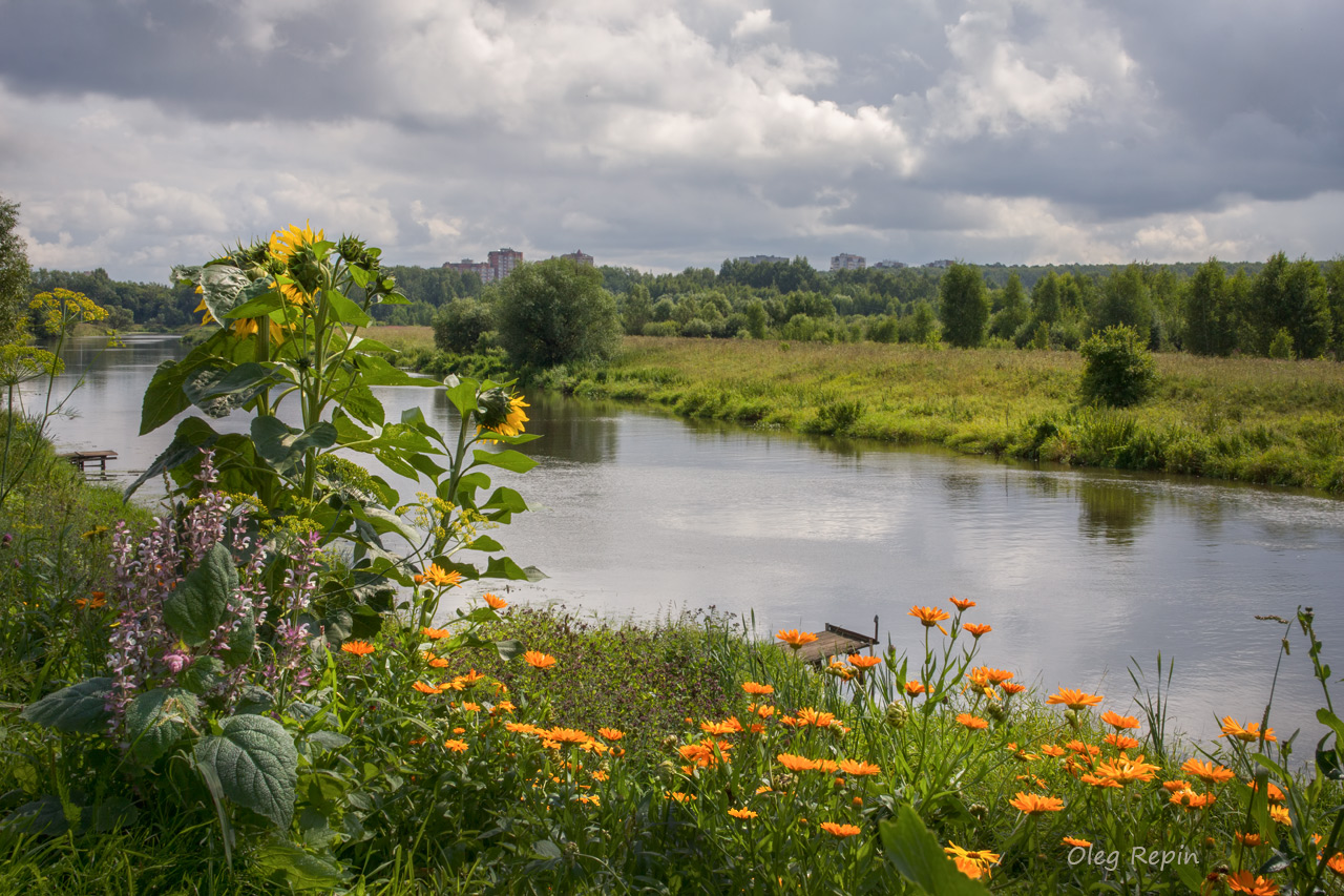 photo "***" tags: landscape, river, summer, water, Клязьма