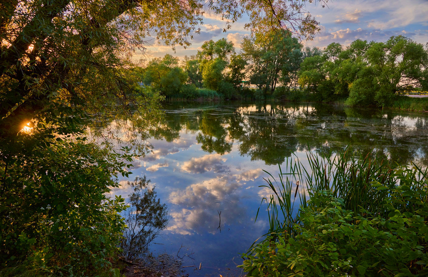 photo "***" tags: landscape, 