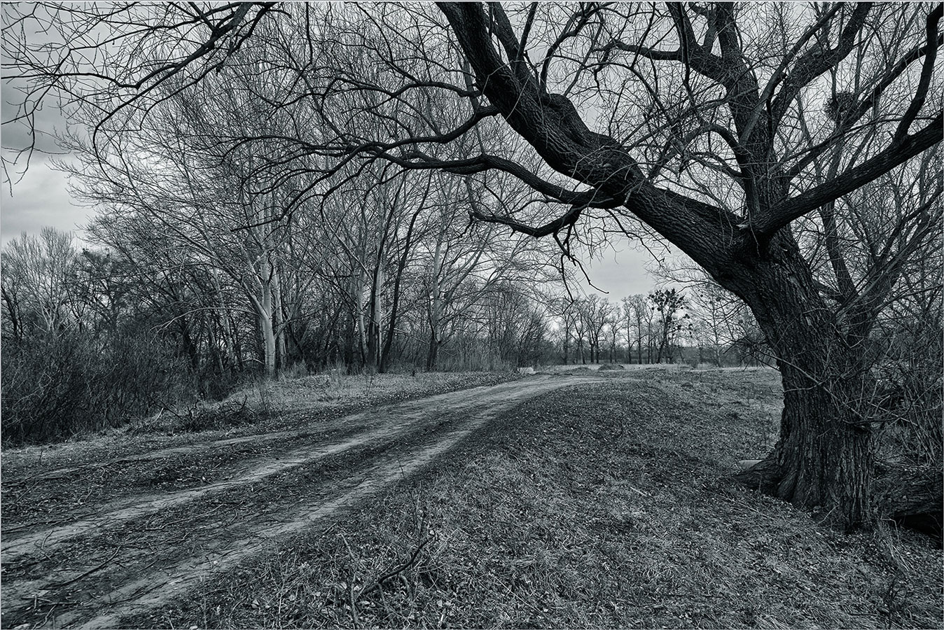 photo "***" tags: landscape, 