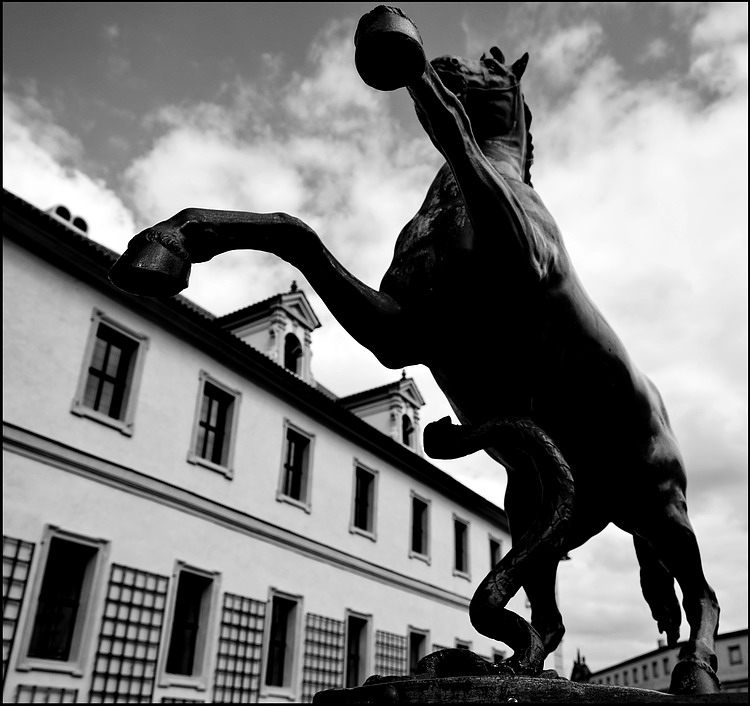 photo "Дом и лошадь" tags: black&white, Prag, Prague, Praha