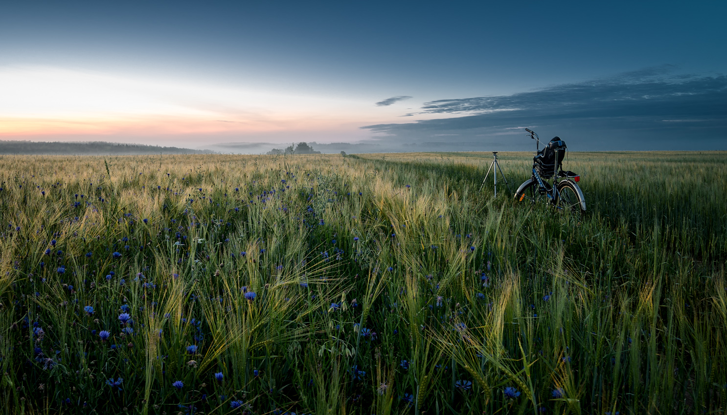 фото "по дороге на рассвет" метки: природа, пейзаж, 