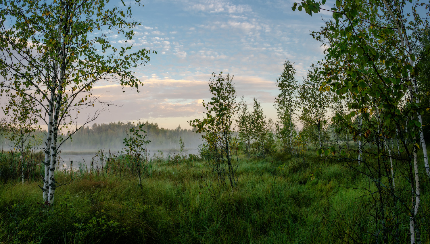 photo "***" tags: landscape, nature, 