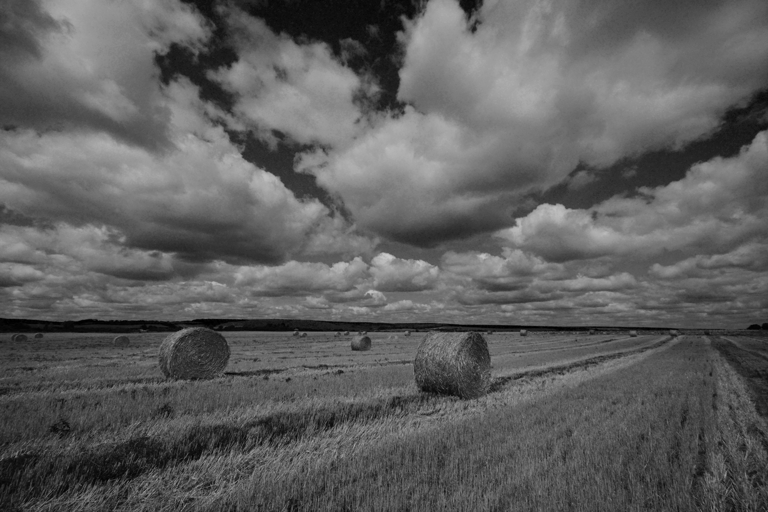 photo "***" tags: landscape, clouds, field, жатва, холод