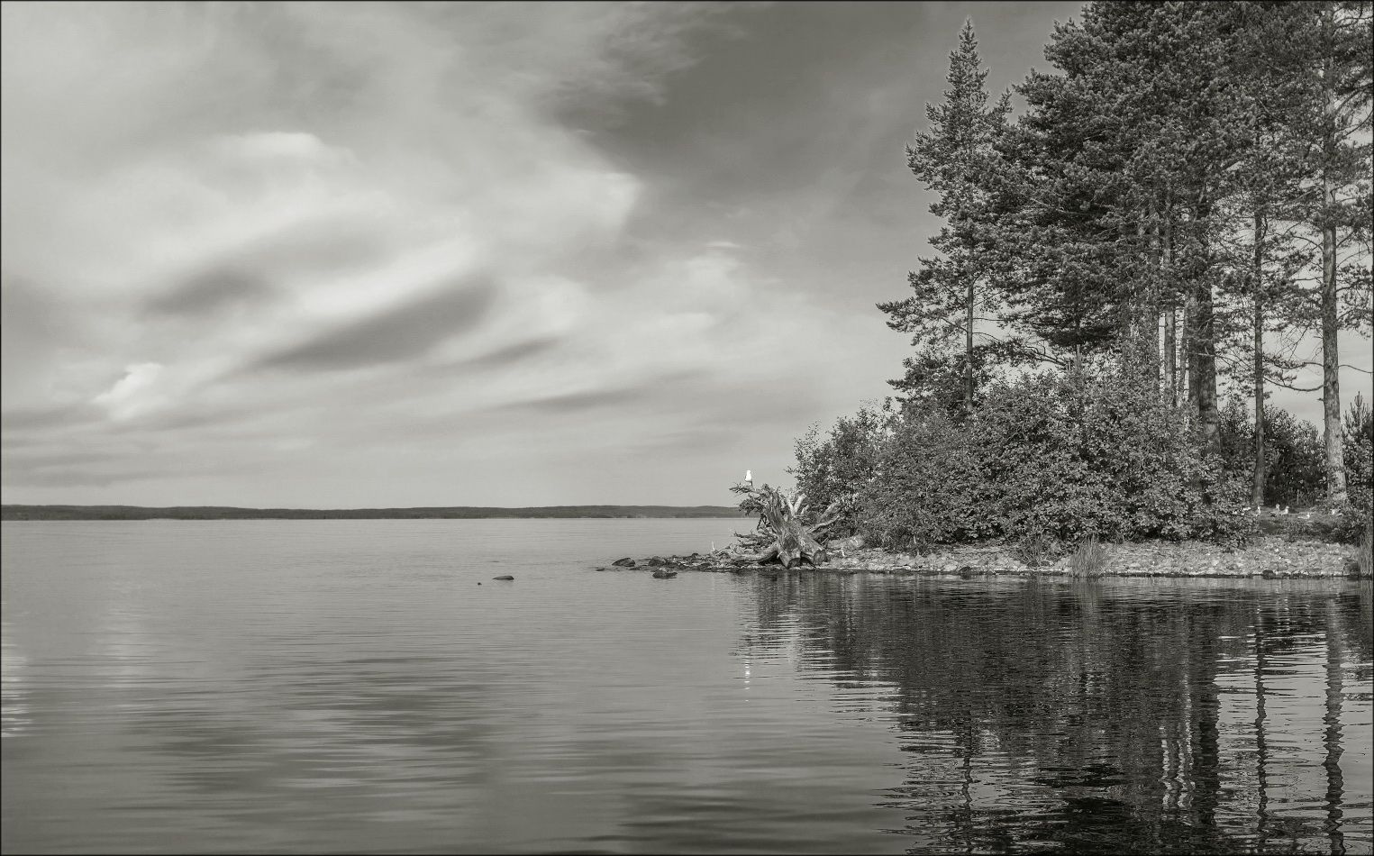 photo "***" tags: landscape, 