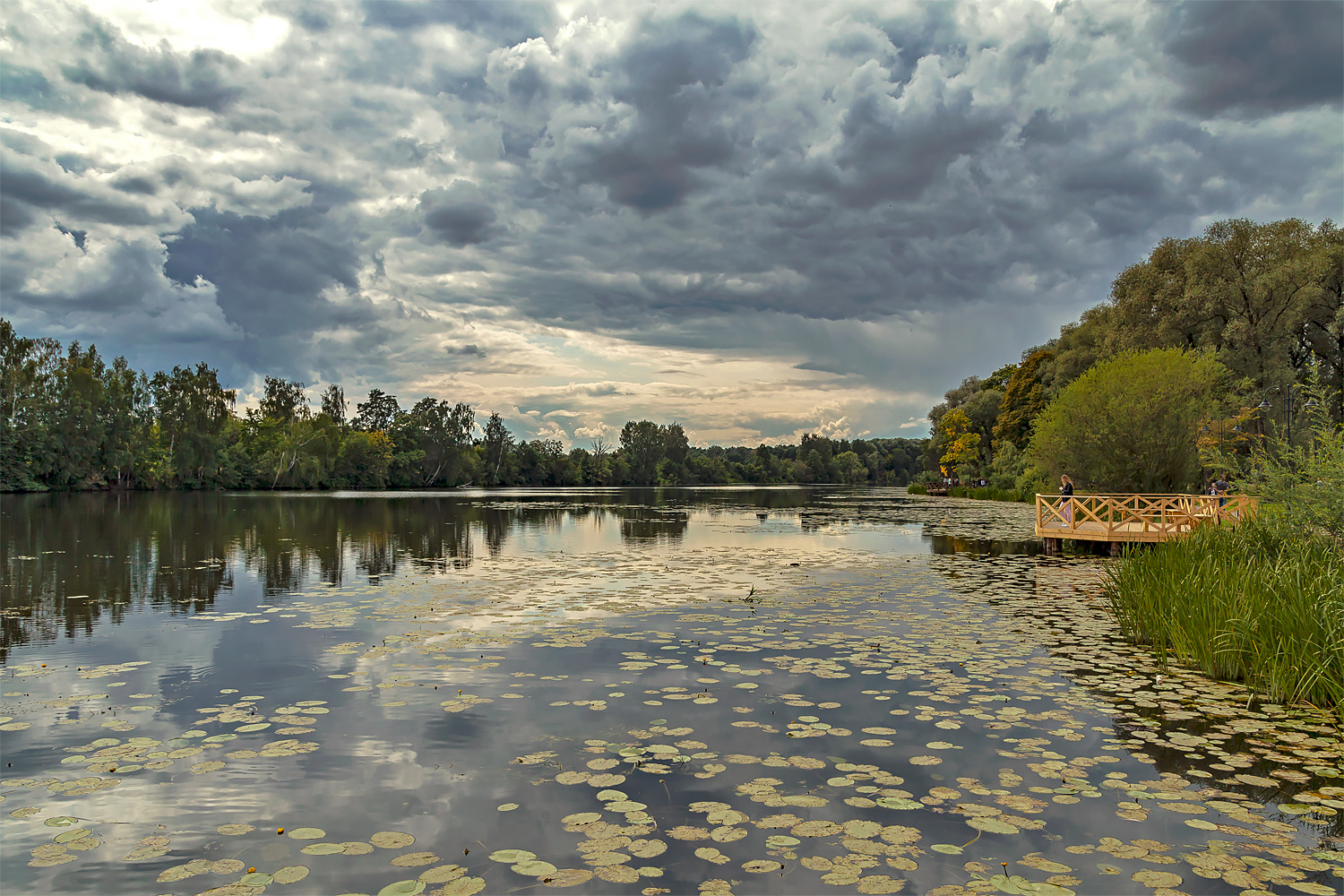 photo "***" tags: landscape, 