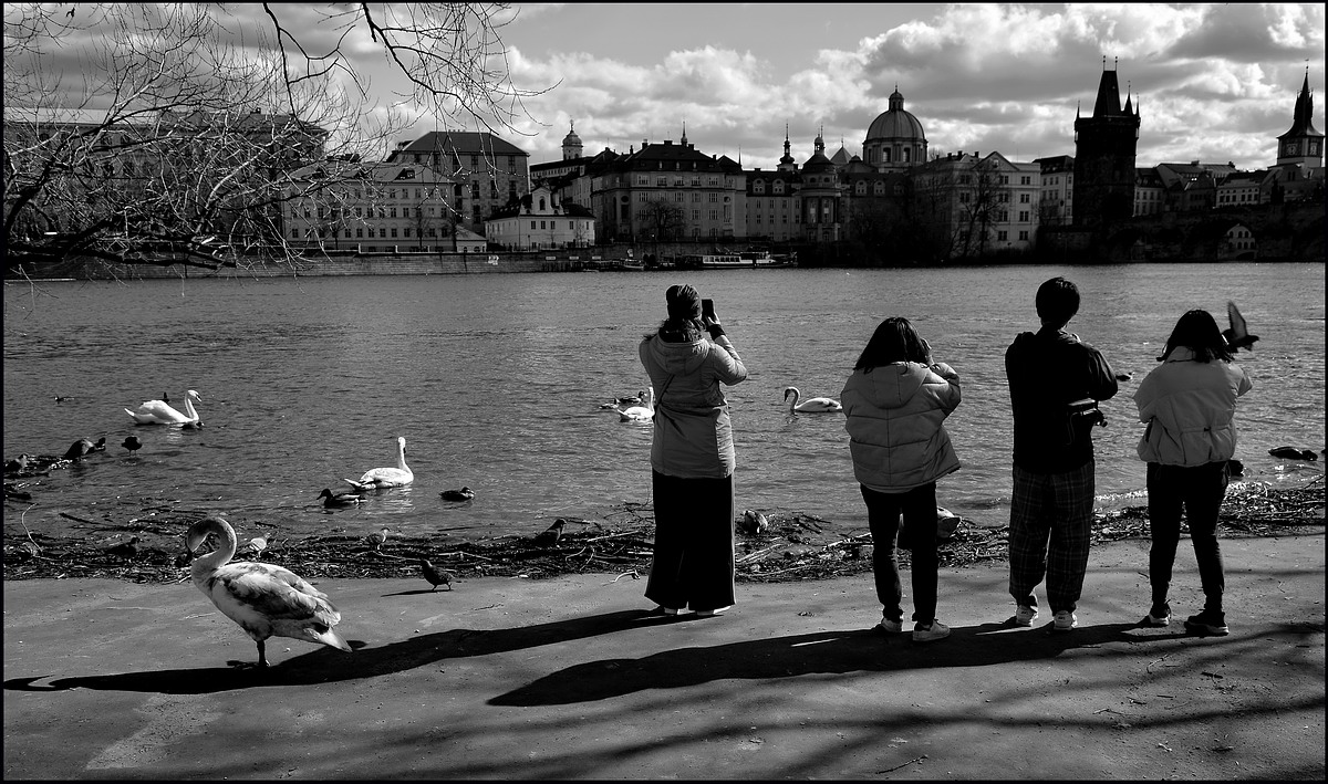 photo "У Влтаву-2" tags: black&white, Prag, Prague, Praha