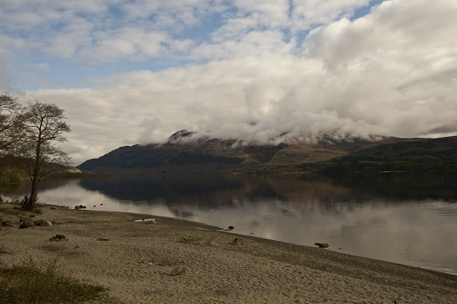 фото "Loch Lomond... Scotland" метки: природа, пейзаж, 