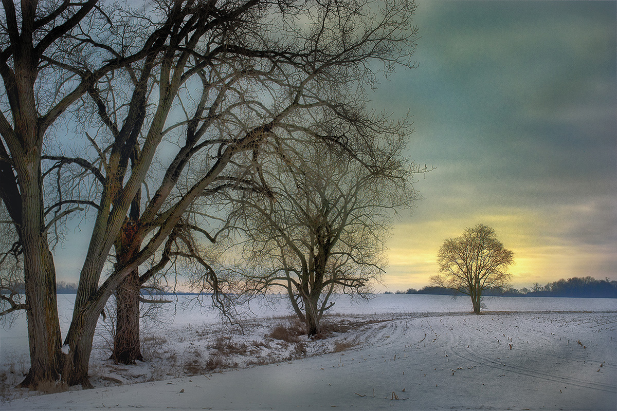 photo "A Winter's Morning" tags: landscape, nature, 