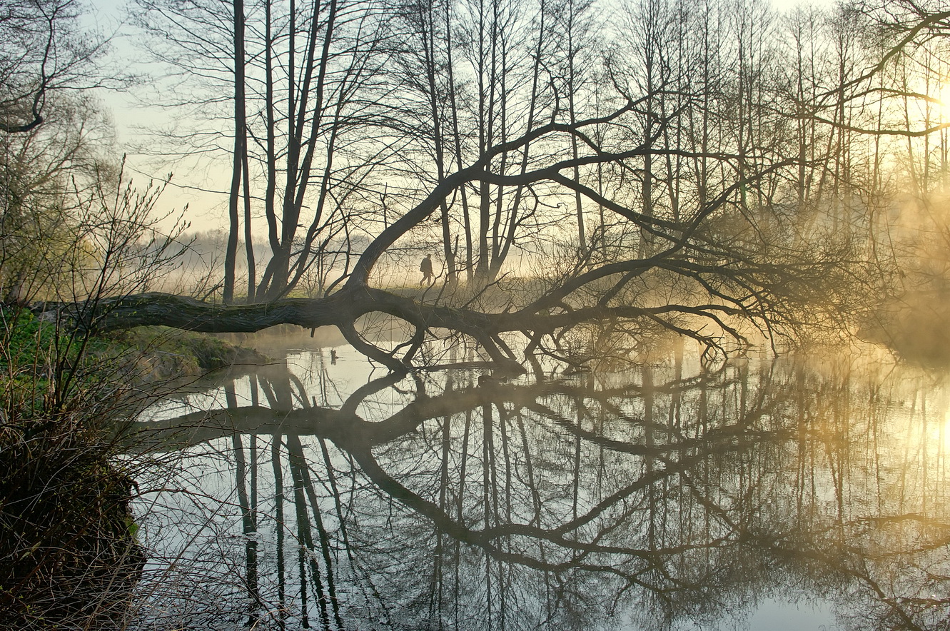 фото "Сталкер (репост 2012)" метки: пейзаж, лес, облака, осень, солнце