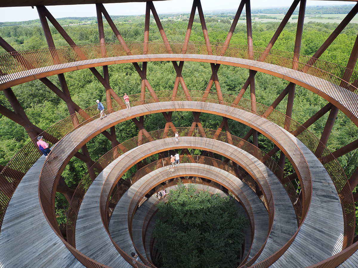 photo "The Tree Tower" tags: landscape, architecture, nature, 