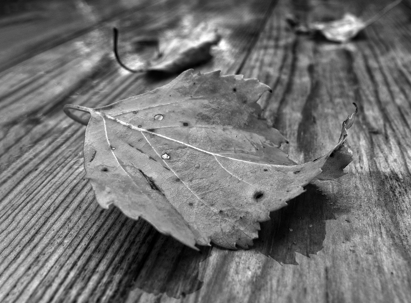 photo "***" tags: still life, 