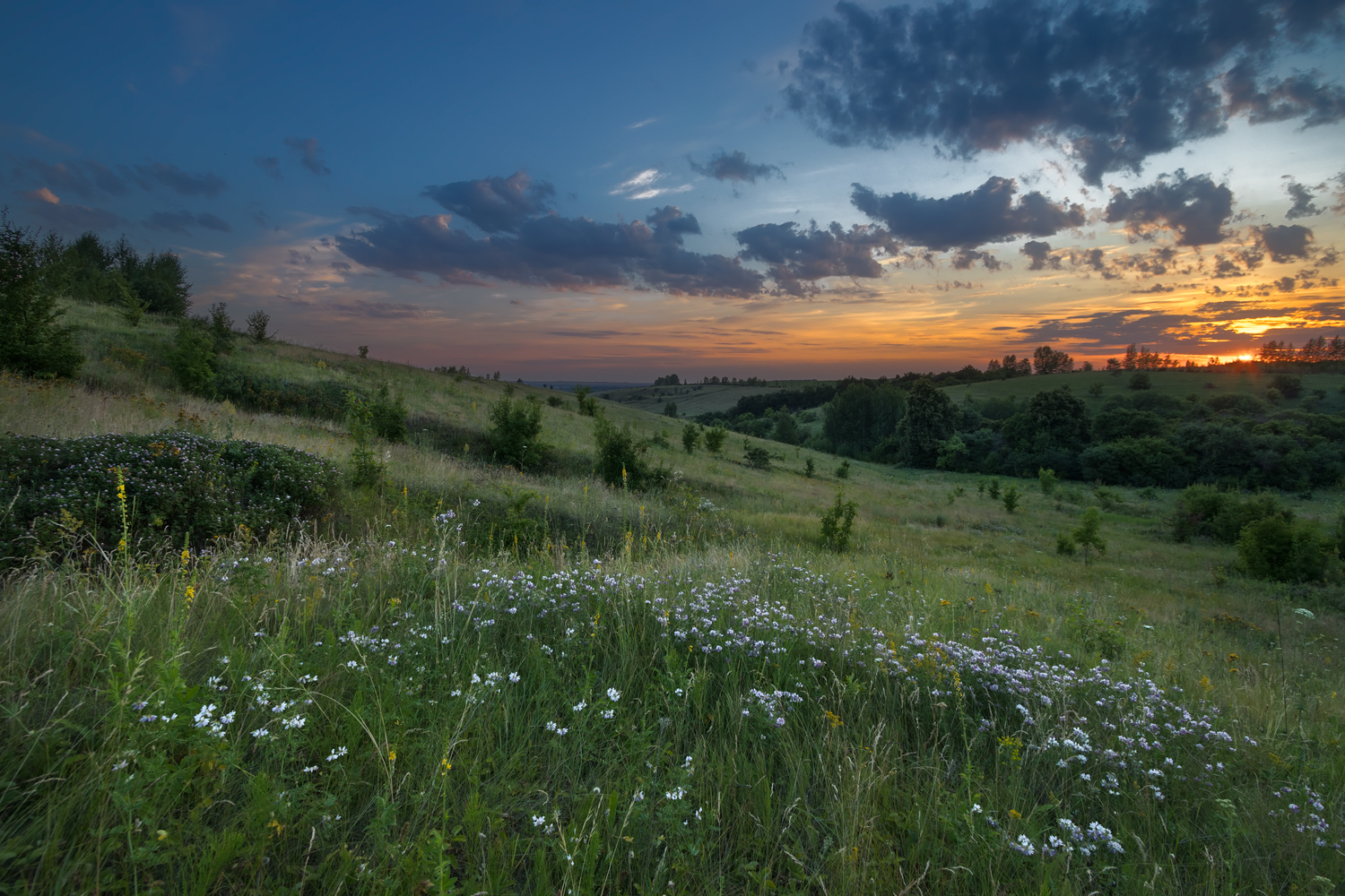 photo "***" tags: landscape, 