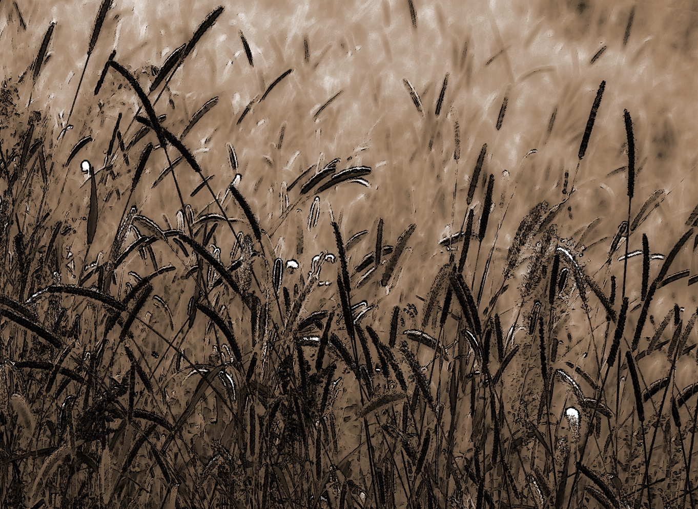 photo "***" tags: , 