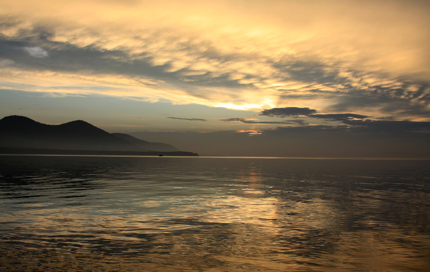 photo "Gold Baikal" tags: , 