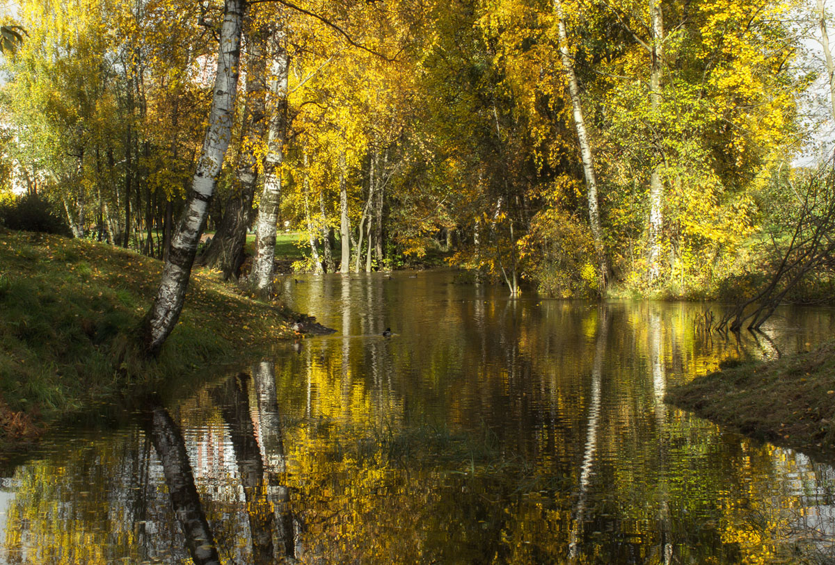 фото "***" метки: пейзаж, 