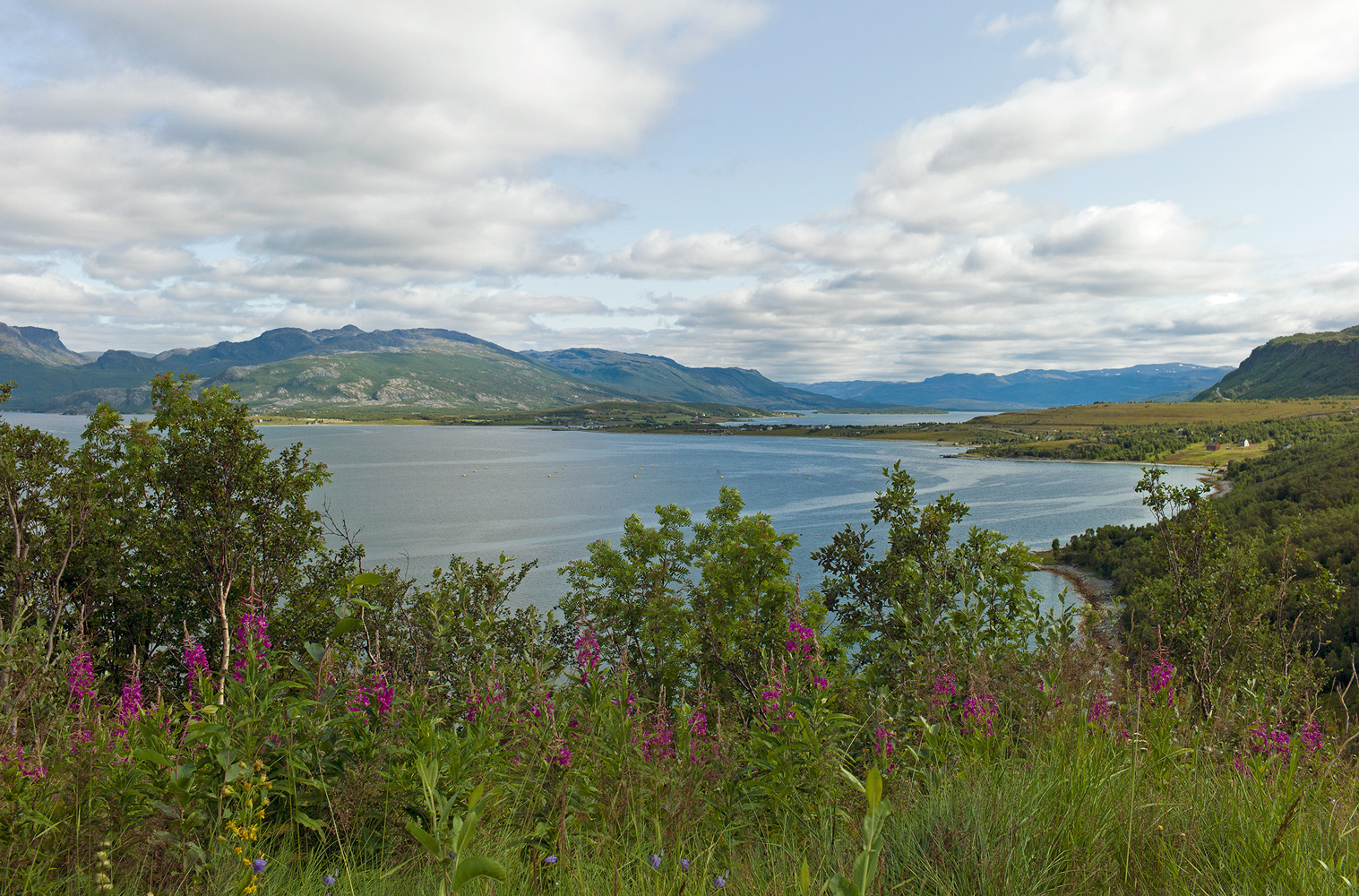 photo "***" tags: landscape, 
