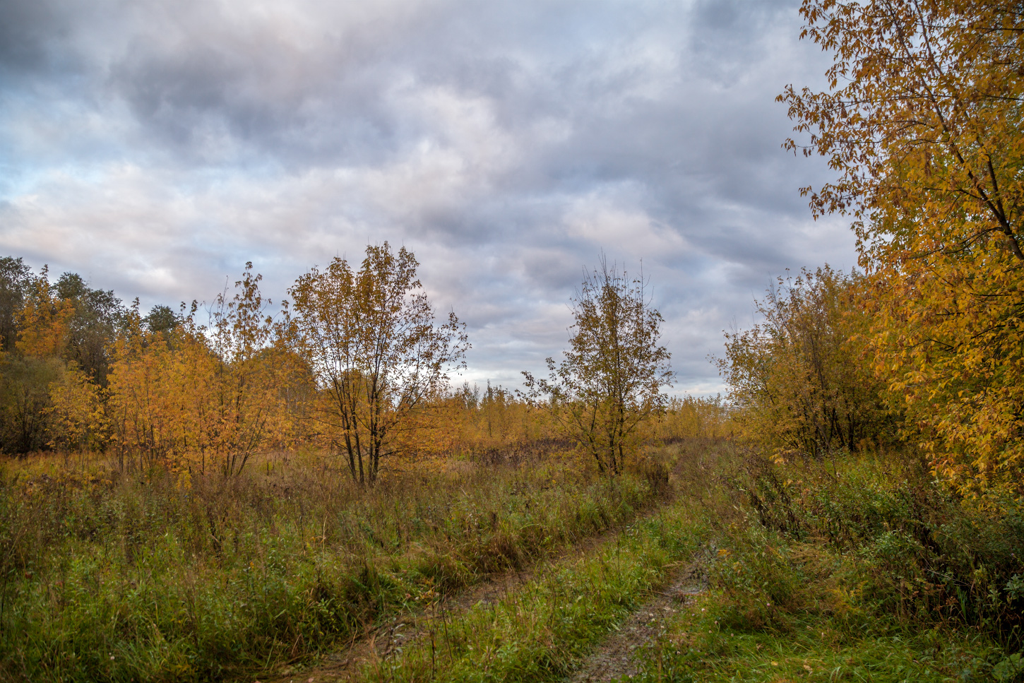 фото "Осень-сентябрь" метки: пейзаж, природа, 