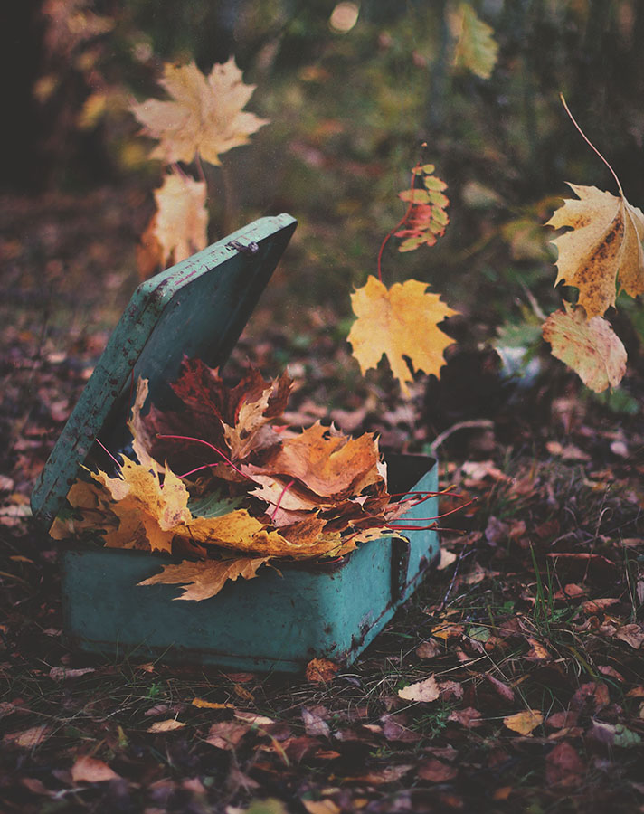 photo "***" tags: still life, 