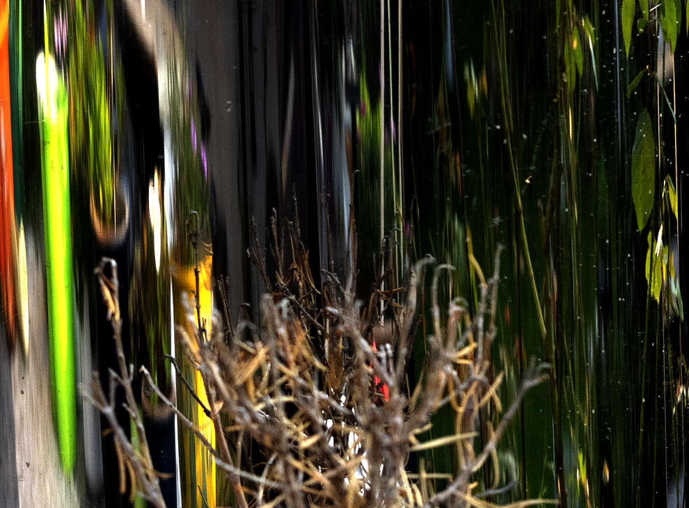 photo "Reflections" tags: macro and close-up, still life, abstract, 