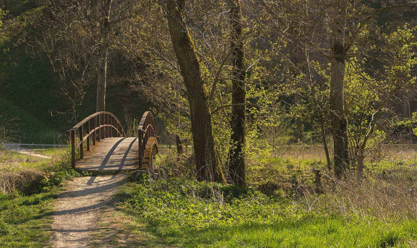 photo "***" tags: landscape, nature, 