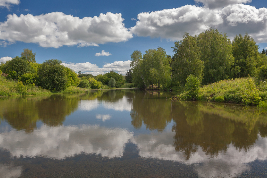 photo "***" tags: landscape, clouds, forest, grass, lake, pond, reflections, summer