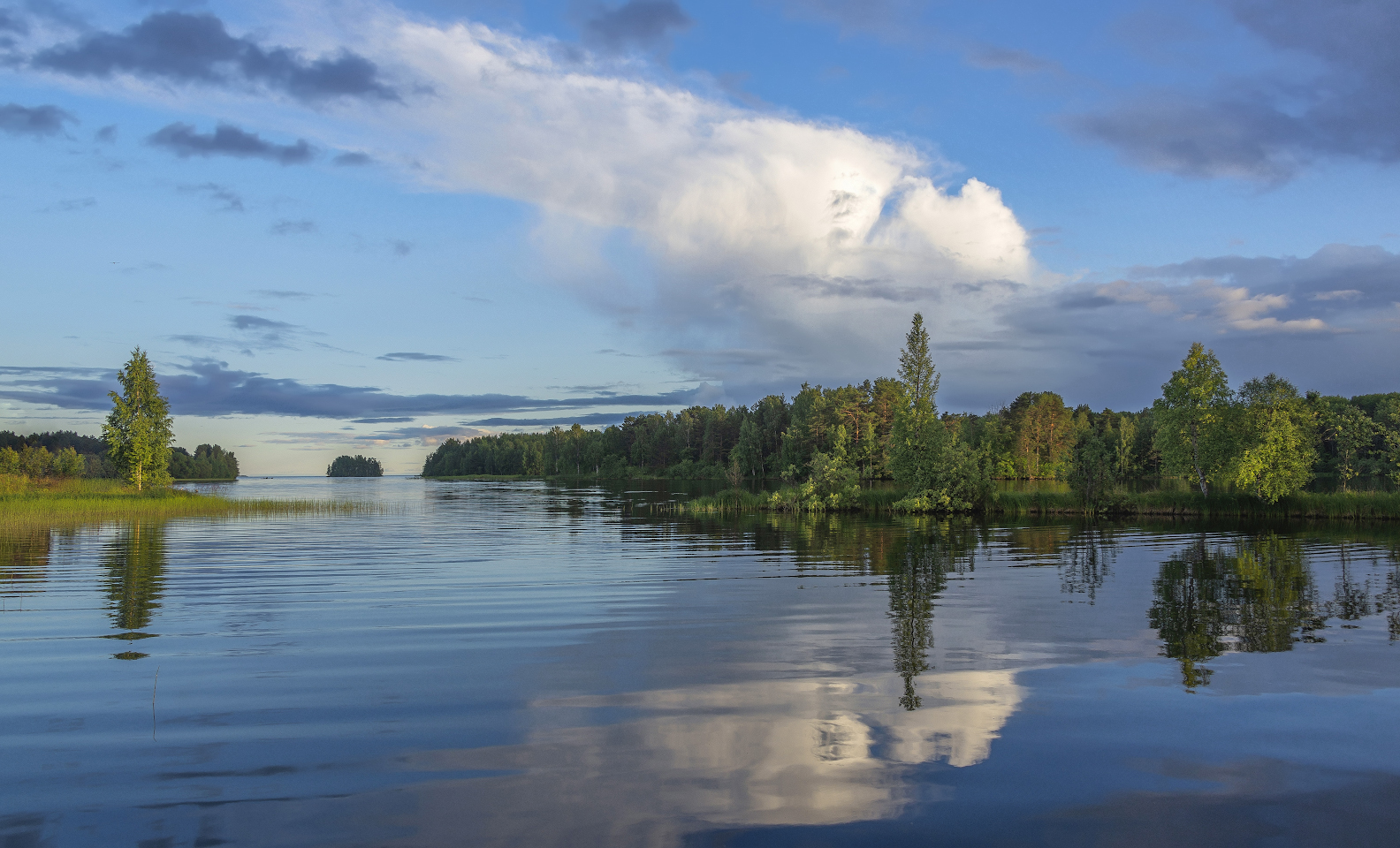 photo "***" tags: landscape, 
