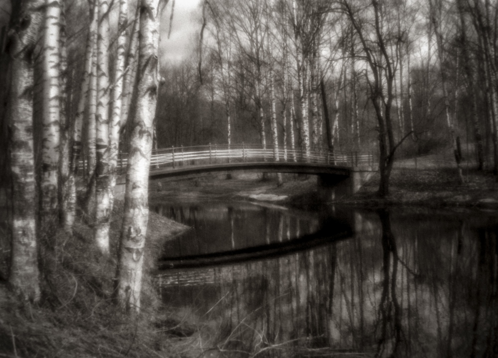 фото "Невский лесопарк (4)" метки: черно-белые, пейзаж, С.Петербург. Невский лесопарк., Ч/б пленка. Монокль.