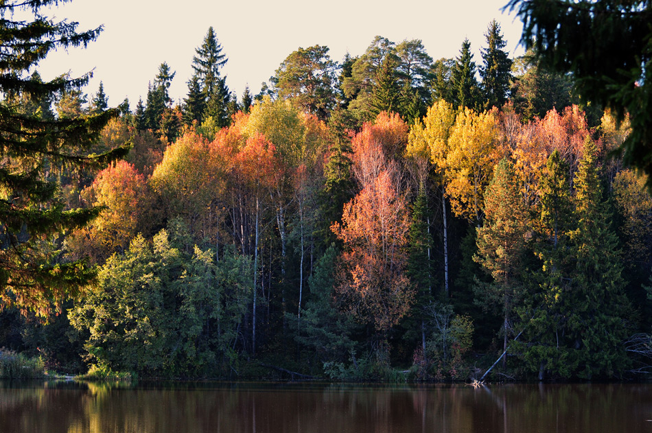 фото "***" метки: , 