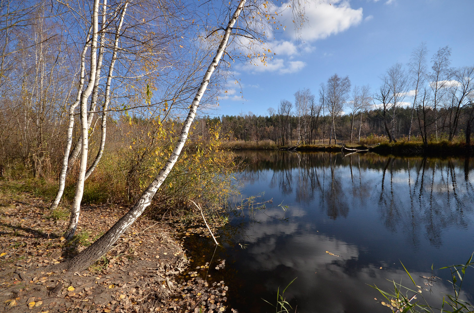 photo "***" tags: landscape, autumn, clouds, lake, water