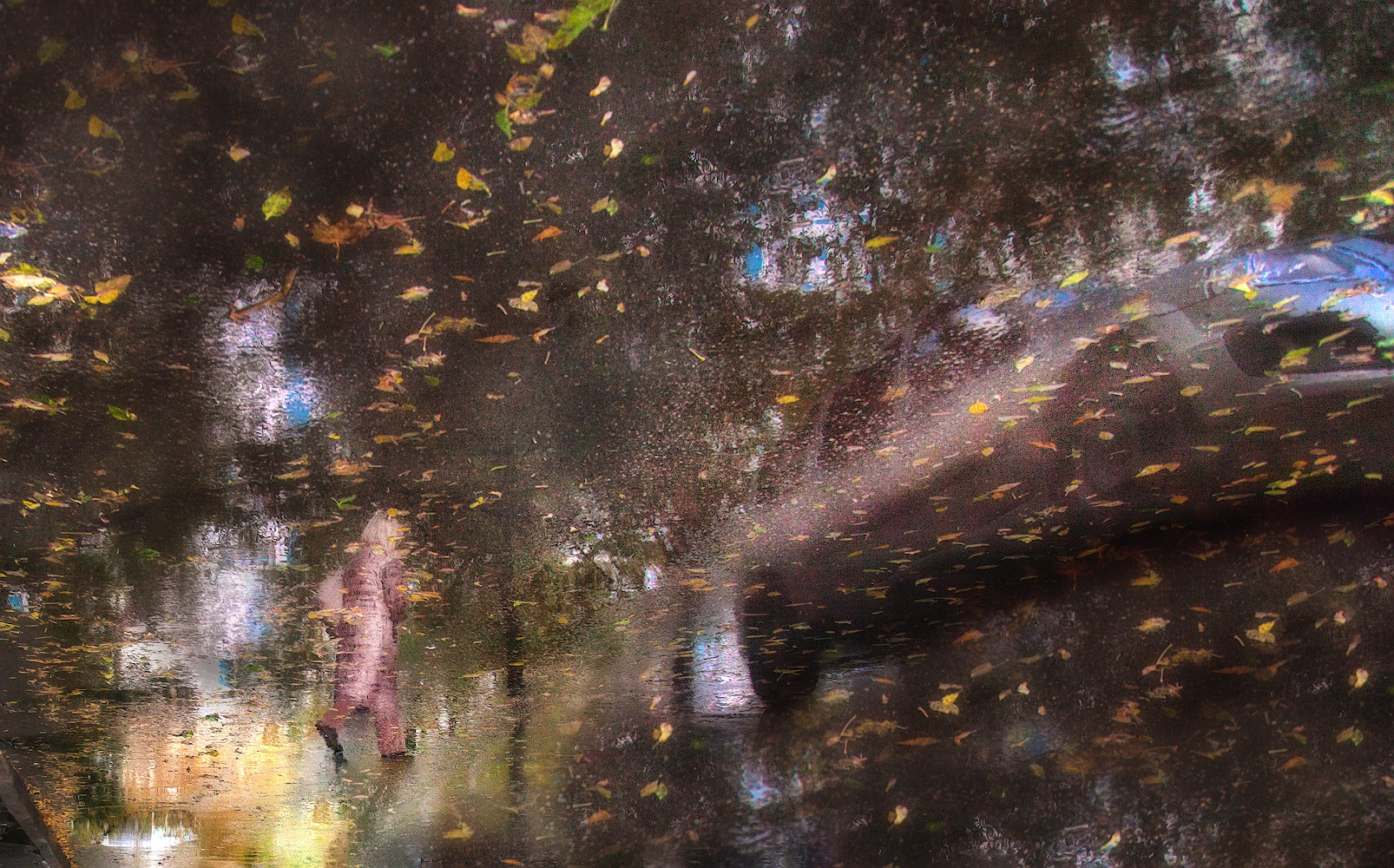 фото "Осень- это..." метки: стрит-фото, абстракция, отражение на мокром асфальте