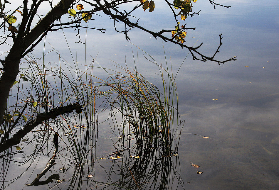 photo "Just now ..." tags: nature, autumn