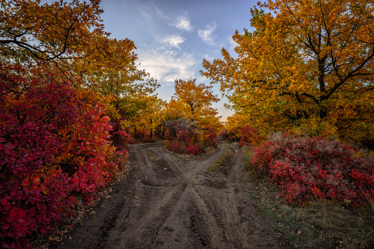 photo "Autumn landscape" tags: landscape, nature, autumn, road, деревья