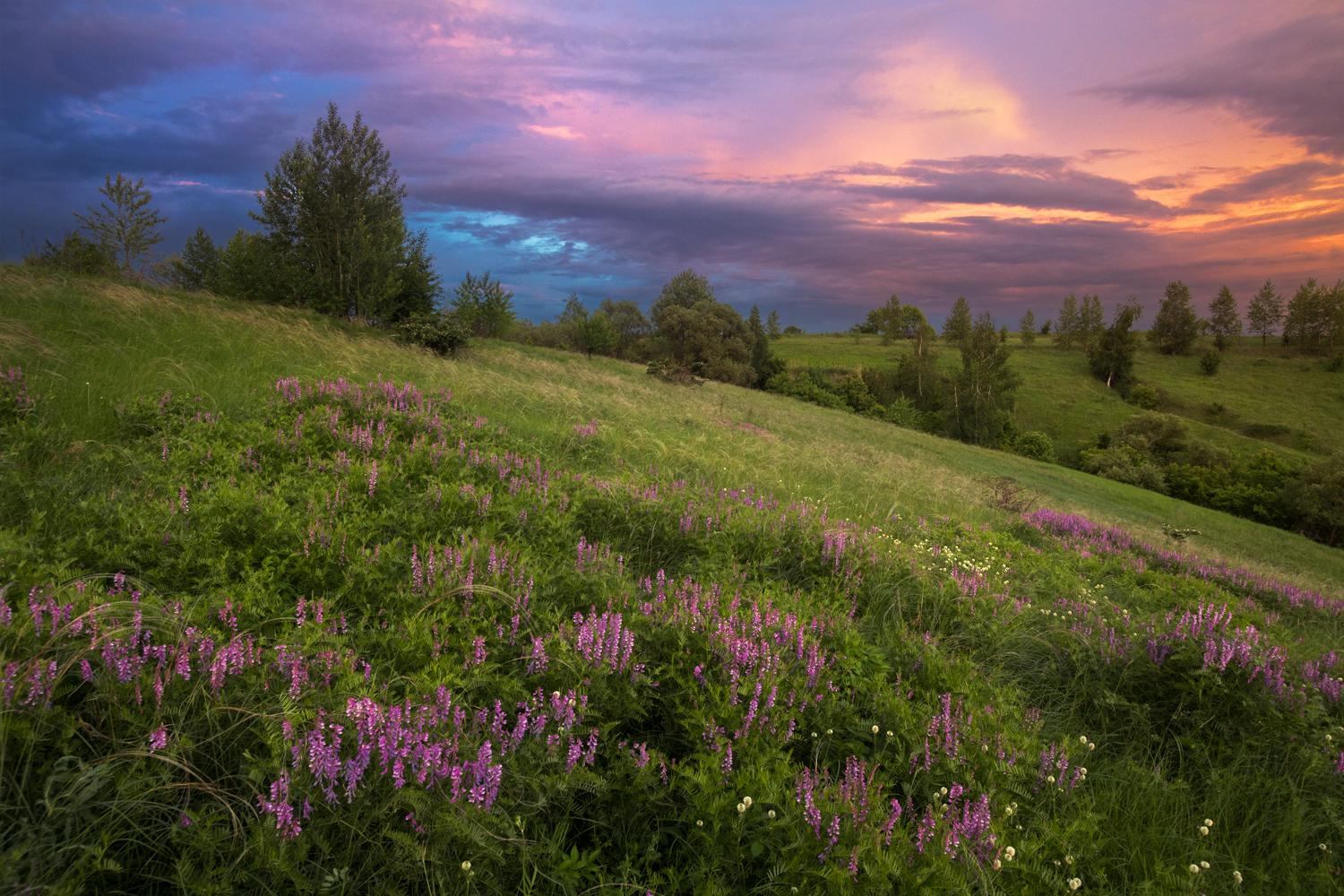 фото "***" метки: пейзаж, 