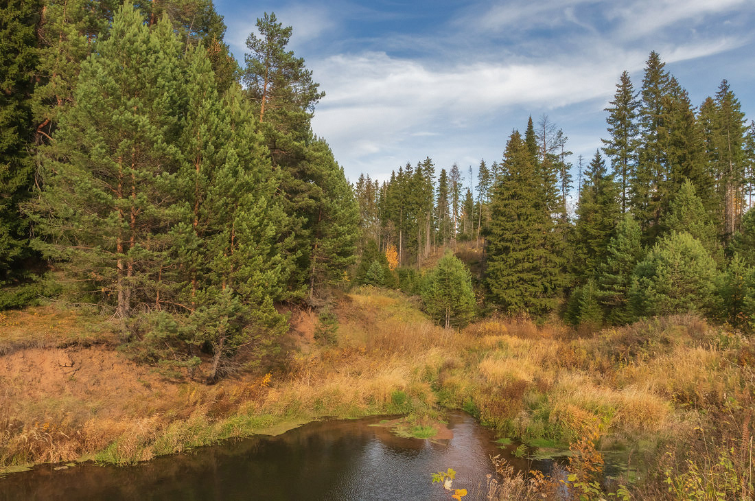 photo "***" tags: landscape, Речка лес трава листья осень к