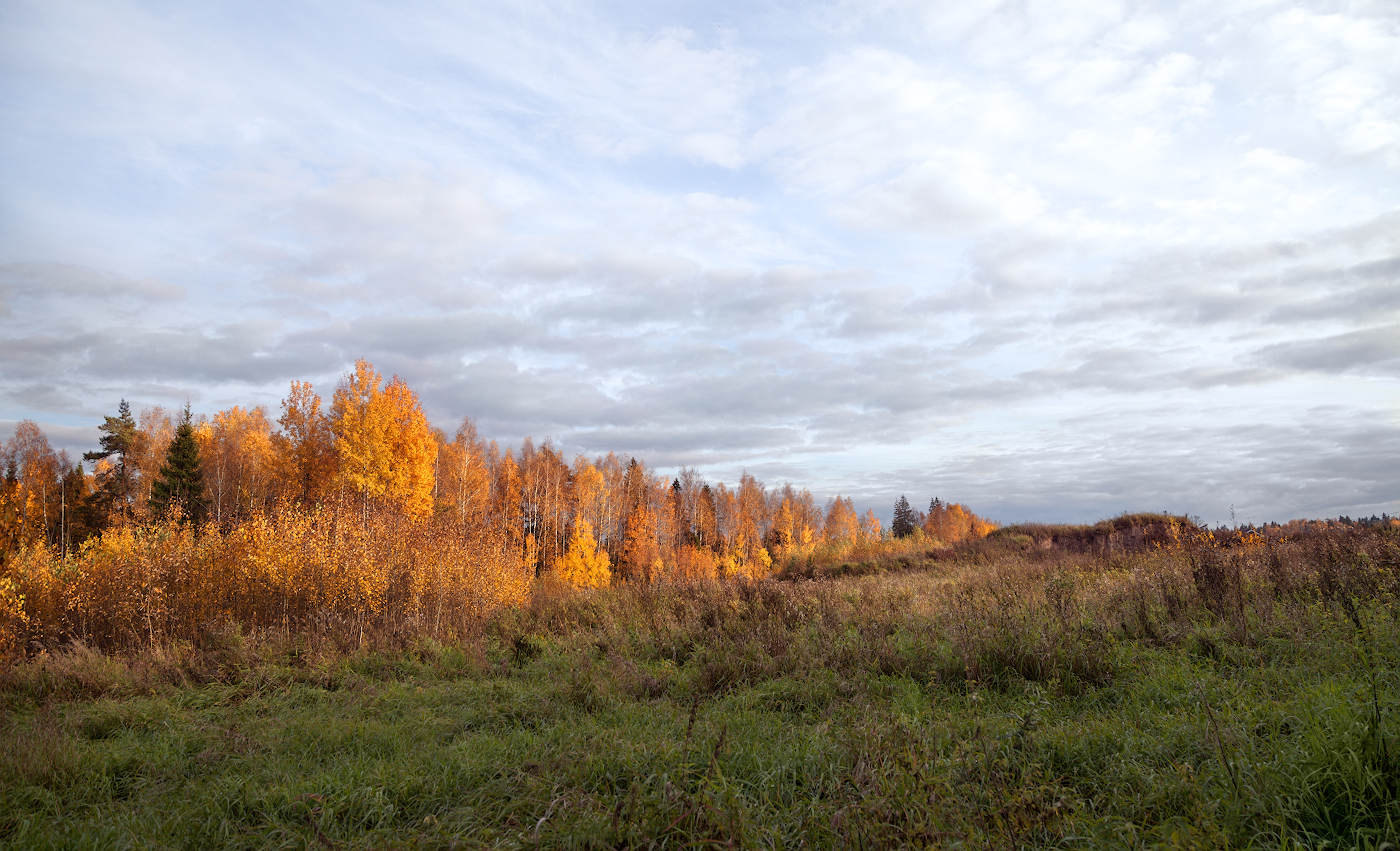 photo "***" tags: landscape, nature, 