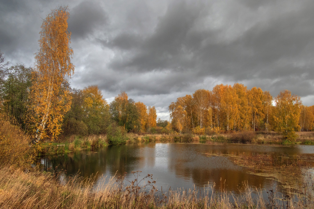 photo "***" tags: landscape, autumn, forest, grass, lake, reflections