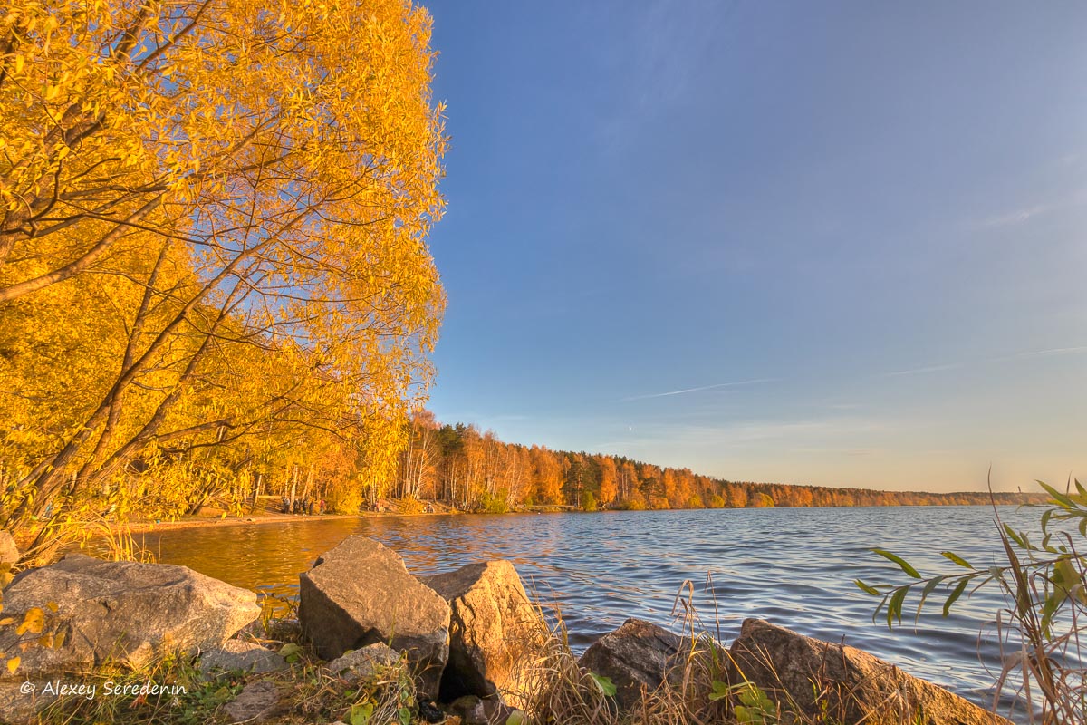 photo "Gold autumn" tags: landscape, nature, 