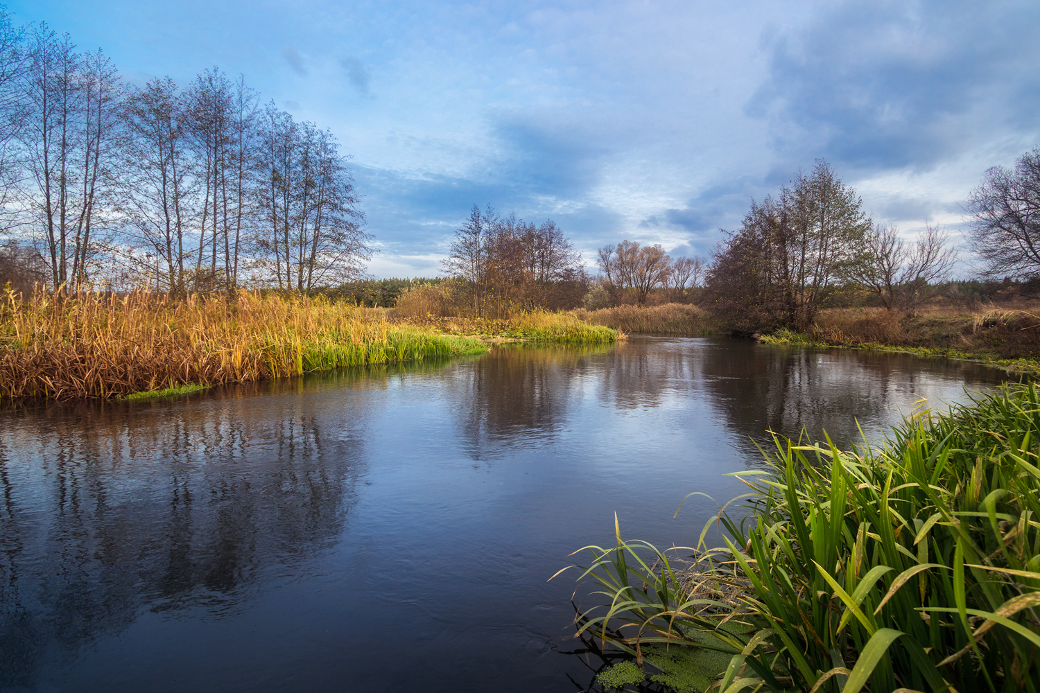 photo "***" tags: landscape, 