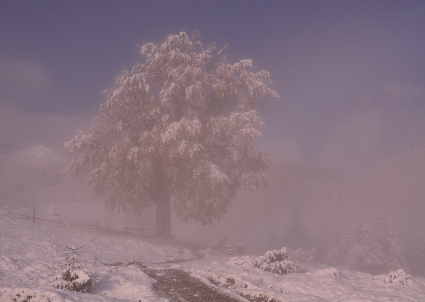 photo "***" tags: landscape, Ukraine, autumn, mountains, snow, Карпаты