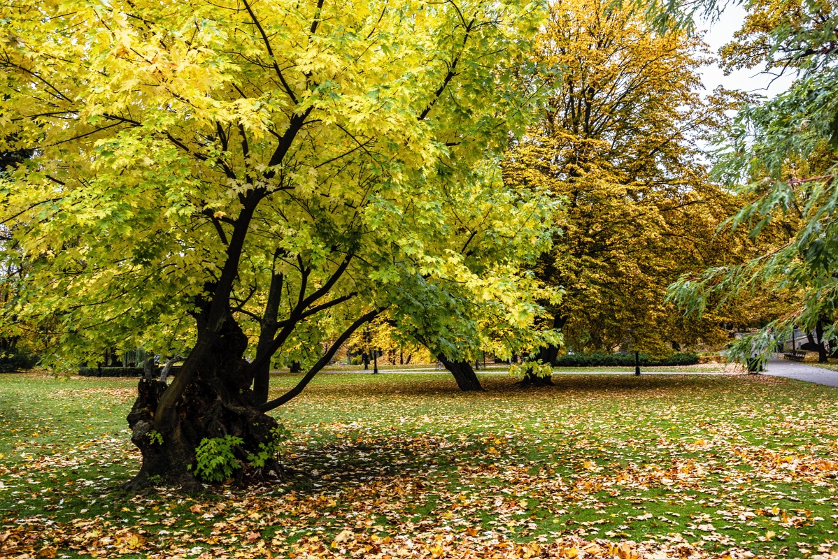 photo "Autumn, City Canal Park" tags: interior, 