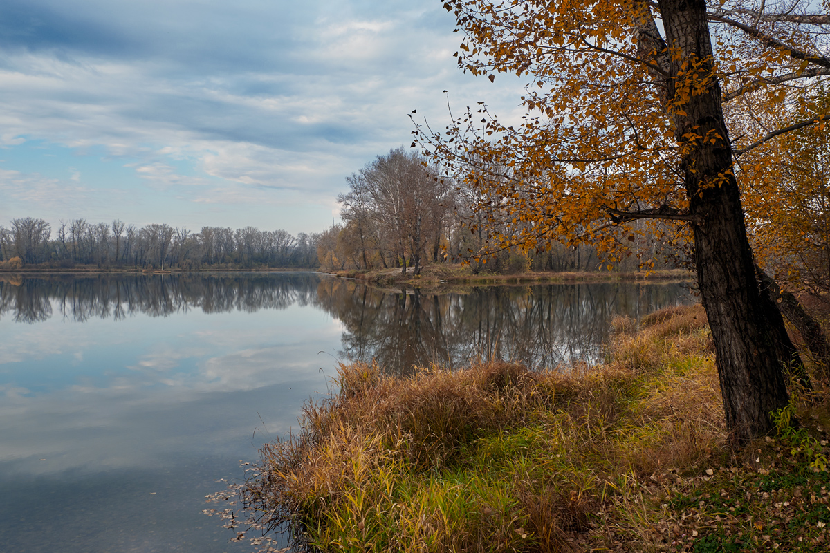 photo "***" tags: landscape, nature, 