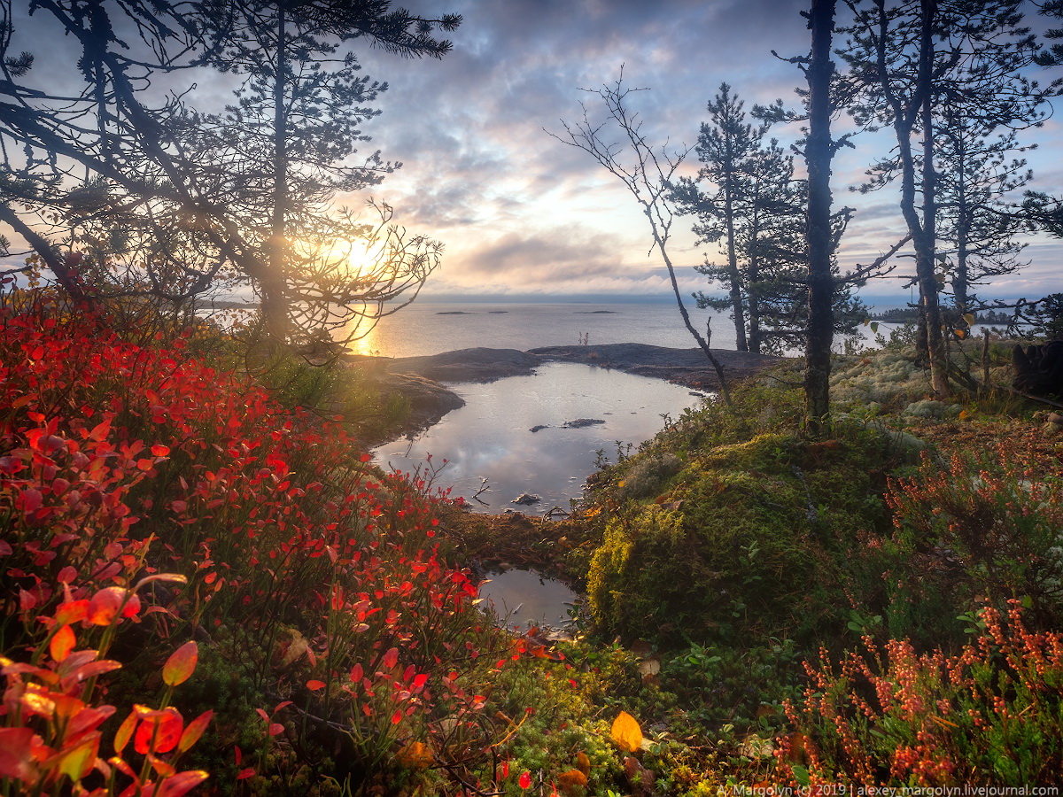 photo "***" tags: landscape, Karelia, autumn, morning, Восход, Ладога, шхеры