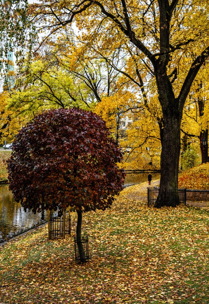 photo "Autumn, City Canal Park 2" tags: city, 