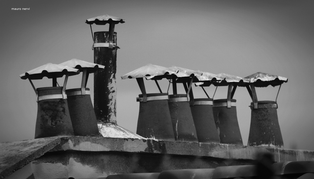 photo "on the roof" tags: black&white, 