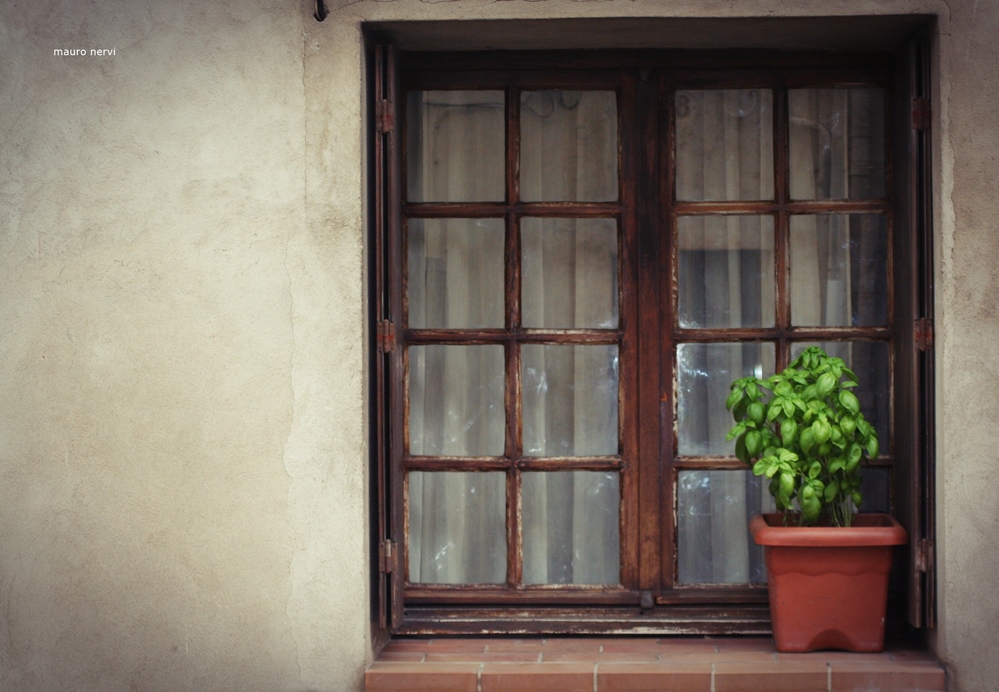 photo "the window" tags: street, 